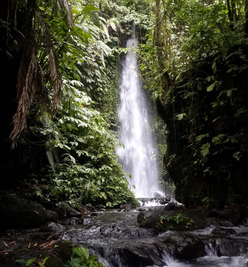 Lombok: Coffee Experience, Rice Terraces & Waterfalls Tour - Authentic Experiences and Value