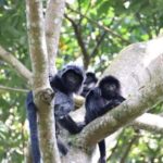 Lombok: Culture, Rice Terrace, and Waterfall Full-Day Tour - Exploring Lombok: The Full-Day Experience