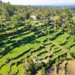 Lombok: Culture, Rice Terrace, and Waterfall Full-Day Tour - An In-Depth Look at the Tour Experience