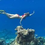 Lombok: East Gili Islands Snorkeling Tour with BBQ Lunch - A Deep Dive into the Tour Experience