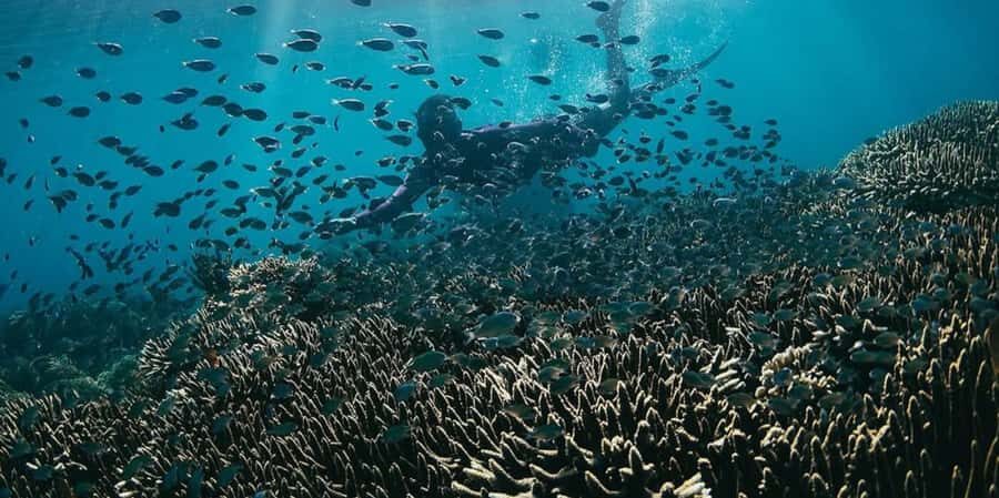 Lombok: exclusive 7 Gilis snorkeling and island hopping - Discover Lombok’s Hidden Paradise: A Deep Dive into the 7 Gilis Tour