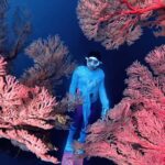 Lombok: Exclusive Snorkeling at Gili Kondo & Visit 3 Gili - The Experience: What You Need to Know