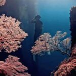 Lombok: Exclusive Snorkeling at Gili Kondo & Visit 3 Gili - The Itinerary Breakdown