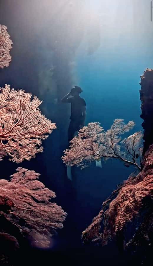 Lombok: Exclusive Snorkeling at Gili Kondo & Visit 3 Gili - The Itinerary Breakdown