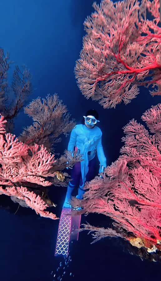 Lombok: Exclusive Snorkeling at Gili Kondo & Visit 3 Gili - The Experience: What You Need to Know