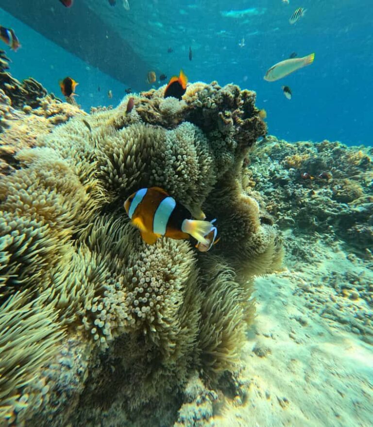 Lombok: Gili Islands Glass Bottom Boat Tour with Snorkeling - Detailed Breakdown of the Itinerary