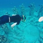 Lombok : Gili Islands Private Snorkeling Tour - Itinerary Breakdown: What Makes Each Stop Special