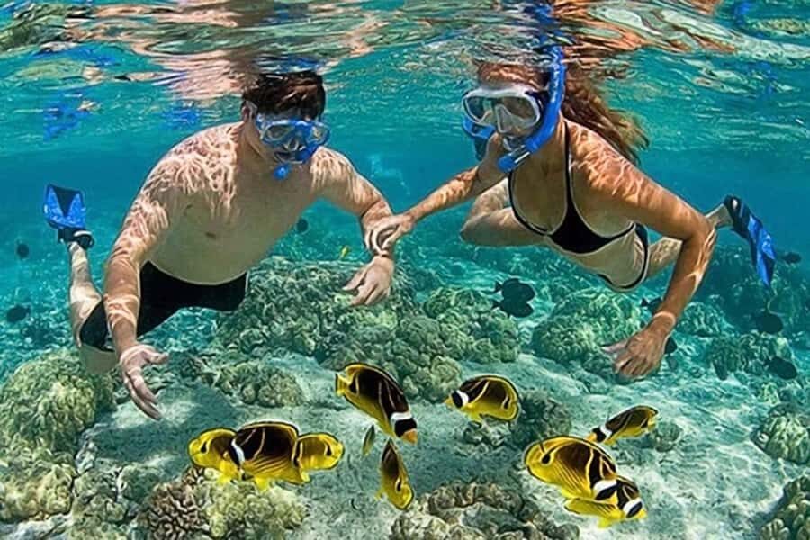 Lombok: Gili Kondo, Petagan, dan kapal Snorkeling Tour - What Makes This Tour Special