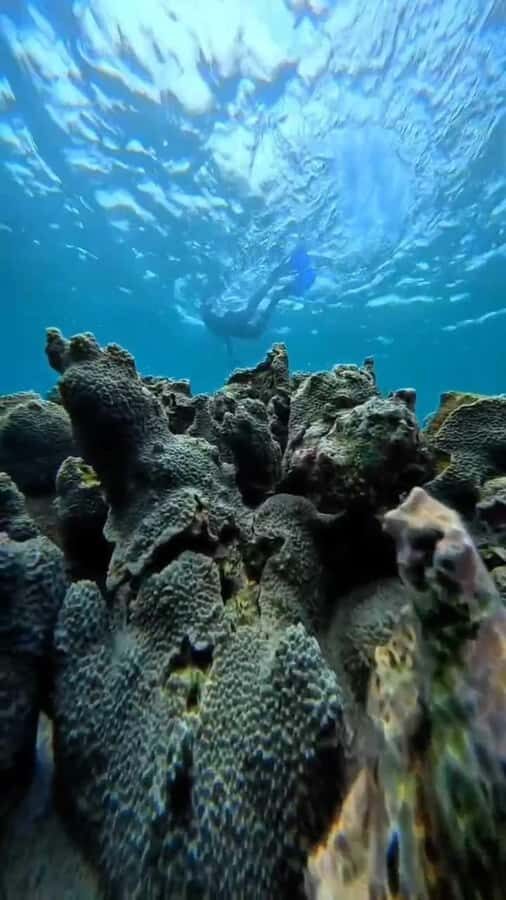 Lombok: Gili Pasir, Gili Petelu, and Pink Beach Day Tour - Practicalities and What to Expect