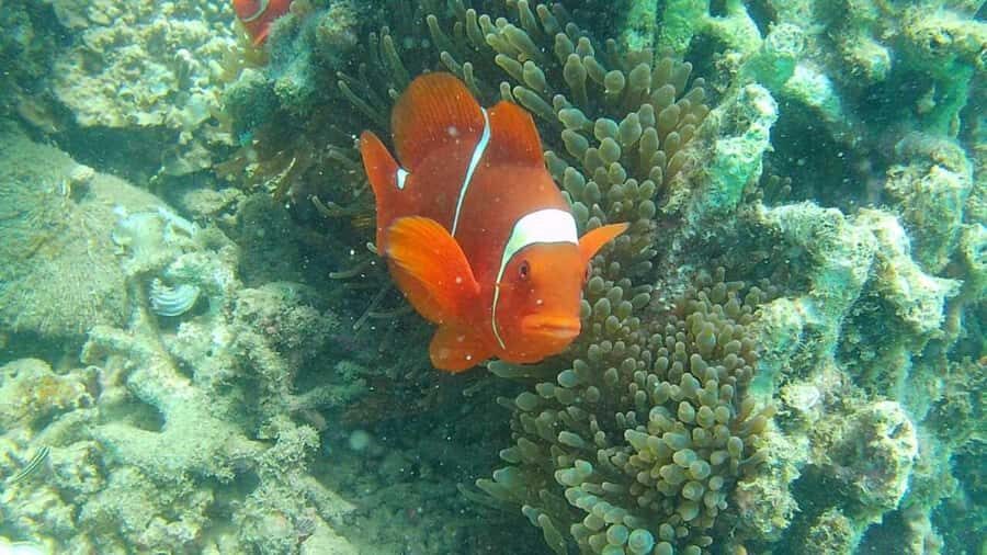 Lombok: Gili Rengit, Gili Gede, and Gili Layar Island Tour - Why This Tour Works Well