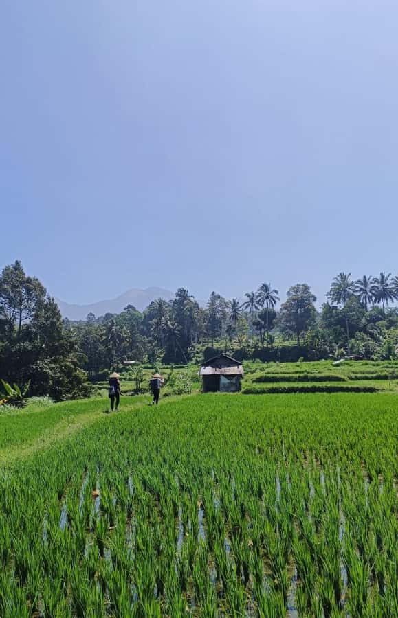 Lombok : hiking- rice terrace & waterfalls tour - Starting Point and Transportation