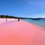 Lombok: Pink Beach & Exclusive Snorkeling Gili Petelu - Discovering the Highlights of the Lombok Tour