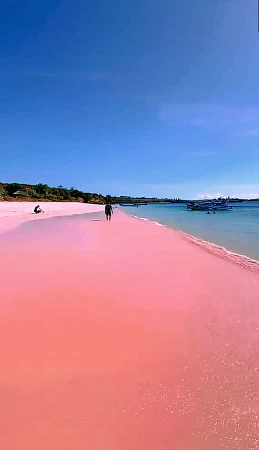 Lombok: Pink Beach & Exclusive Snorkeling Gili Petelu - Discovering the Highlights of the Lombok Tour