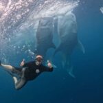 Lombok : Private 2D/1N Whale Shark Tour Lombok Sumbawa - The Itinerary in Detail