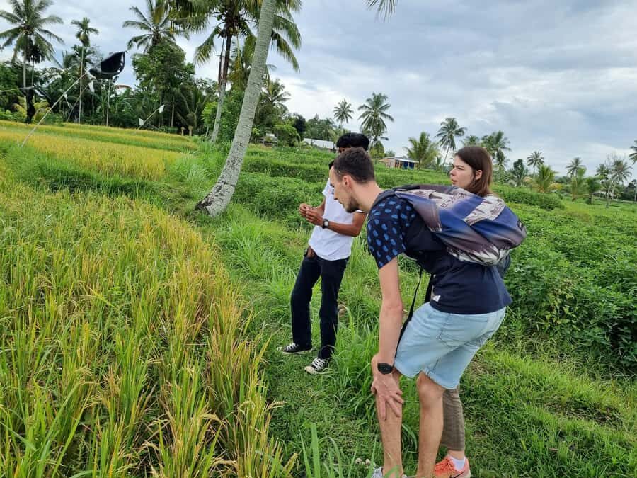 Lombok: Private Customizable Tour with Driver-Guide - A Detailed Look at the Itinerary