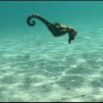 Lombok: Private day trip snorkeling in Secret Island - The Detailed Journey Through Lombok’s Secret Gili Snorkeling Tour