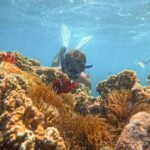 Lombok: Private Pink Beach & Gili Snorkeling Tour with GoPro - The Itinerary in Detail