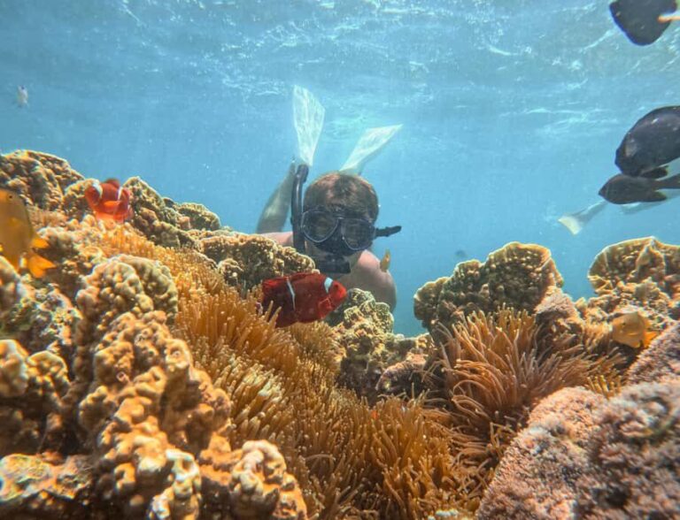 Lombok: Private Pink Beach & Gili Snorkeling Tour with GoPro - The Itinerary in Detail