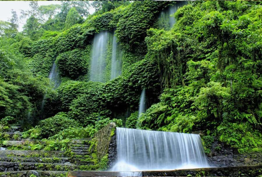 Lombok: River Rafting & Benang Kelambu Waterfall with Lunch - Practical Details and Why They Matter