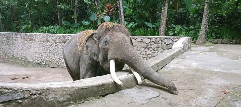 Lombok Safari Wildlife Park, Village and Waterfalls tour - Breaking Down the Itinerary