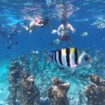 Lombok: Sasak Village Weaving Workshop & Waterfalls Tour - What to Expect and Practical Tips