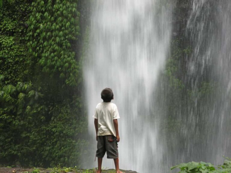 Lombok: Sendang Gile Waterfall & Pusuk Pass Day Trip - Practical Details and Tips for the Tour