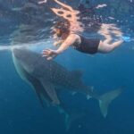 Lombok : Sharing Whale Shark Tour 2 Day 1 Night Sumbawa - Transportation and Group Size
