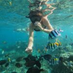 Lombok: Snorkeling & Island Hopping to The Southwest Gilis - What to Expect on the Water and Land