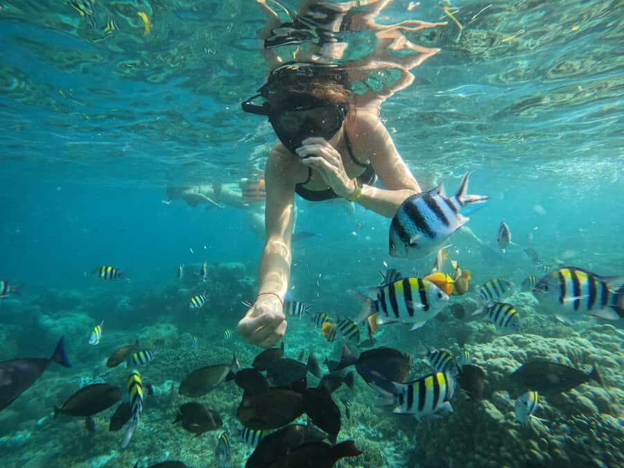 Lombok: Snorkeling & Island Hopping to The Southwest Gilis - What to Expect on the Water and Land