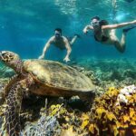 Lombok Snorkeling to Gili Nanggu, Tangkong, Sudak and Kedis - What Makes This Tour Stand Out