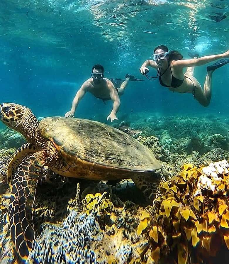 Lombok Snorkeling to Gili Nanggu, Tangkong, Sudak and Kedis - What Makes This Tour Stand Out