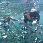 Lombok: Snorkeling Trip Gili Nanggu, Sudak & Kedis - Why This Tour Works for Travelers