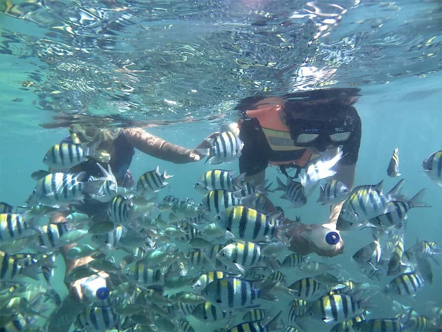 Lombok: Snorkeling Trip Gili Nanggu, Sudak & Kedis - Why This Tour Works for Travelers