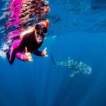 Lombok Sumbawa Best Sharing 2D1N Whale Shark With Snorkeling - Who Is This Tour Best Suited For?