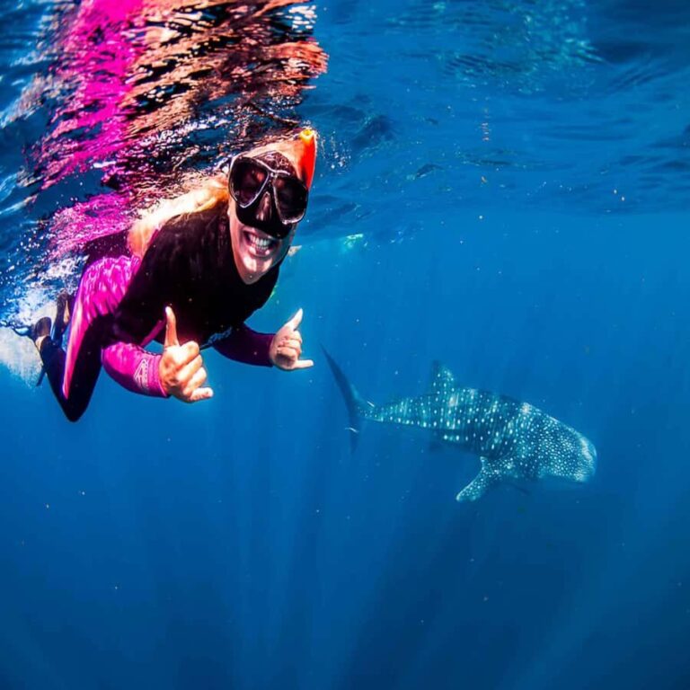 Lombok Sumbawa Best Sharing 2D1N Whale Shark With Snorkeling - Who Is This Tour Best Suited For?