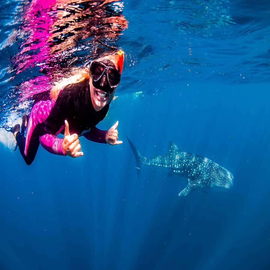 Lombok Sumbawa Best Sharing 2D1N Whale Shark With Snorkeling - Who Is This Tour Best Suited For?