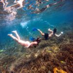 Lombok Sumbawa Sharing 2D1N Whale Shark With Snorkeling - What Makes This Tour Stand Out?