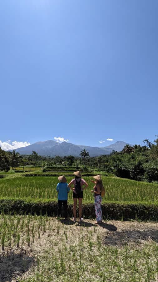 Lombok: Tetebatu Village Tour with Lunch and Pickup - Practical Details and What to Expect