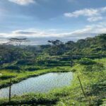 Lombok: Tetebatu Village Tour with Waterfalls & Lunch - Transportation, Timing, and Group Size