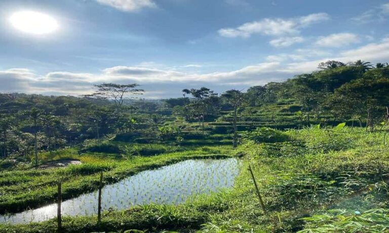 Lombok: Tetebatu Village Tour with Waterfalls & Lunch - Transportation, Timing, and Group Size