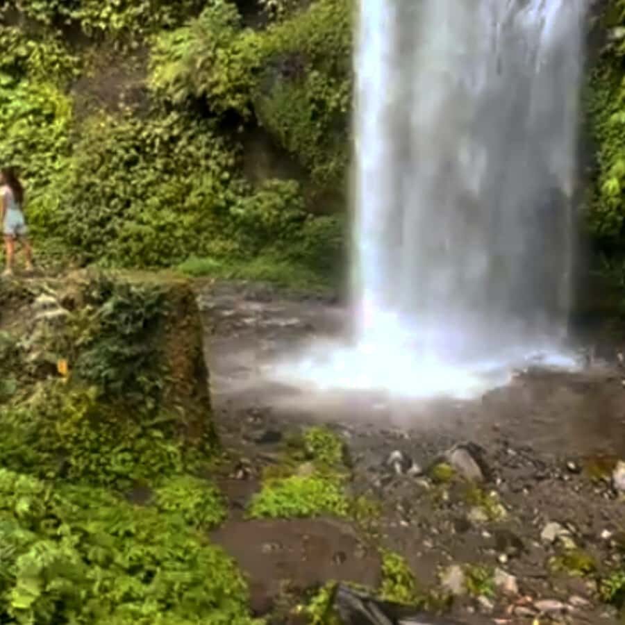 Lombok: Tiu Kelep Waterfall Tour and Sembalun Agro Tourism - What to Expect from the Adventure