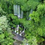 Lombok : Trip 4 Waterfalls,Hike through Rice Fields & Jungle - Who Will Love This Tour?