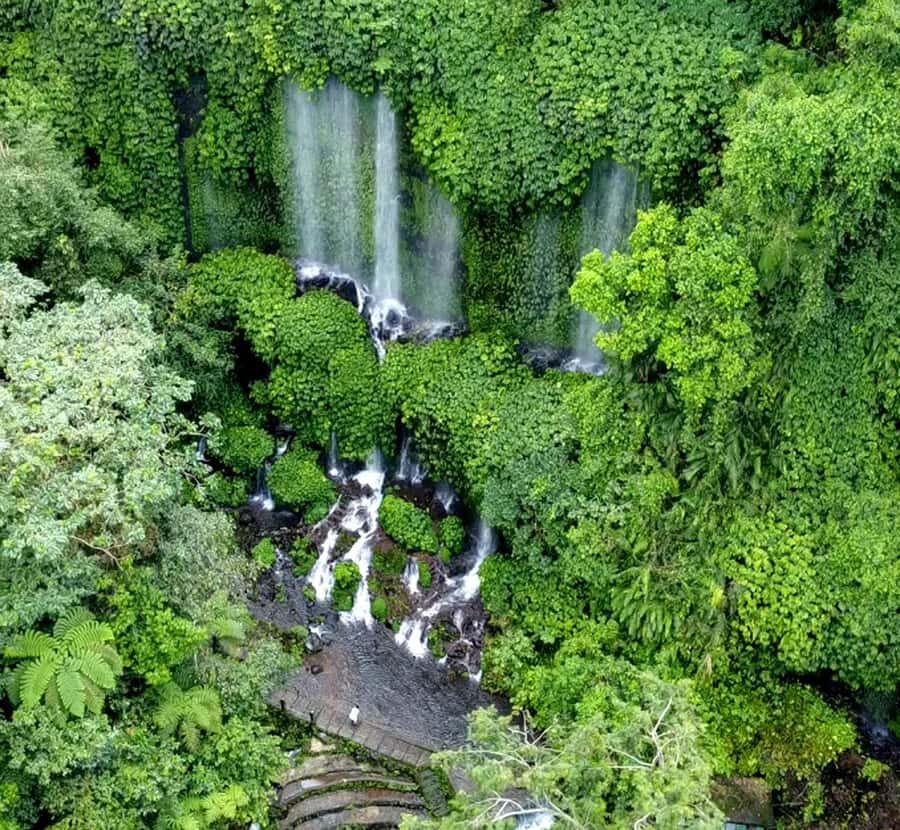 Lombok : Trip 4 Waterfalls,Hike through Rice Fields & Jungle - Who Will Love This Tour?