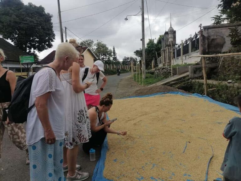 Lombok: Waterfall Benang Kelambu & Rice field Trip - The Itinerary in Detail