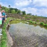 Lombok Waterfalls & Bukit Selong Private Tour - A Deep Dive into the Experience