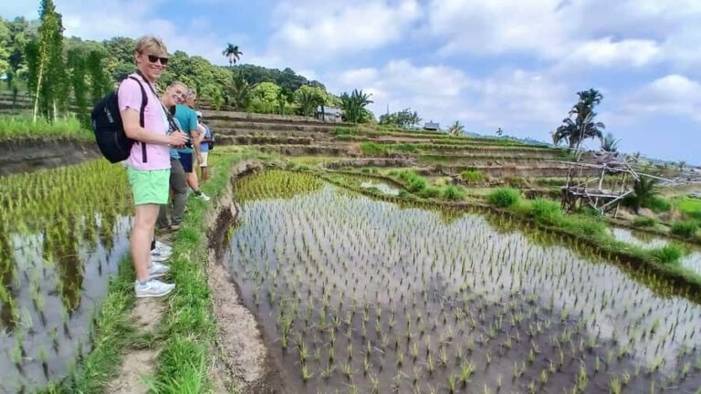 Lombok Waterfalls & Bukit Selong Private Tour - A Deep Dive into the Experience