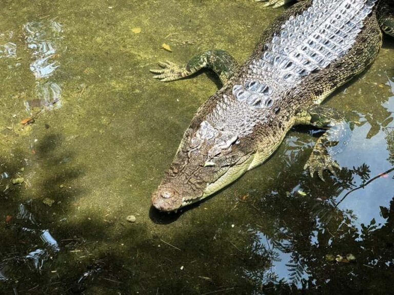 Lombok Wildlife Park: Admission Ticket - A Closer Look at the Animal Encounters