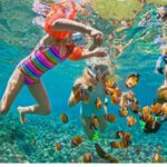 Lomboks Hidden Gems: Snorkeling Gili Kondo & Petagan - The Practicalities: What You Need to Know