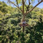 Longest Seaview Zipline 42 Platform in Phuket - Why This Zipline Tour Is Worth Considering