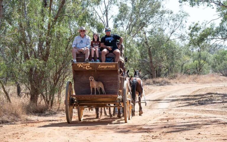 Longreach: Ride on a historic stagecoach on a bush track - What You Need to Know Before Booking